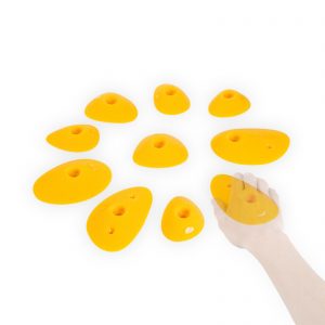 Carola-Groessenvergleich