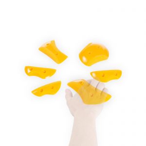 Cintia-Groessenvergleich