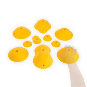 Molly-Groessenvergleich