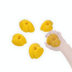 Caragna_Groessenvergleich