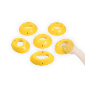 Pinus_Groessenvergleich