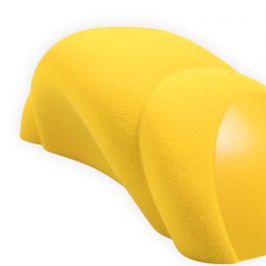 Prunus_Makro2_Detail2