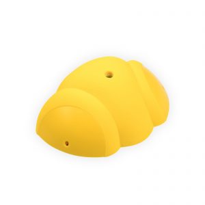 Prunus_Makro2_Draufsicht