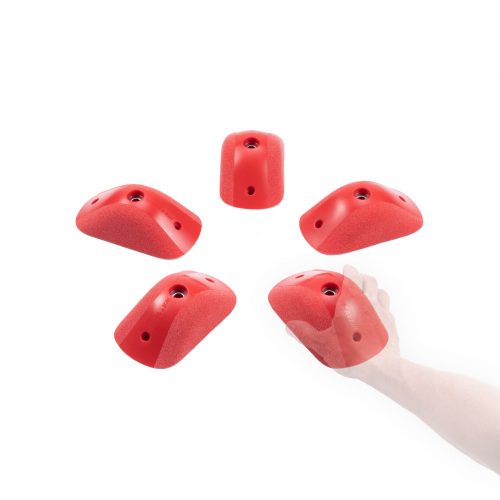 Cintia_L1_Groessenvergleich