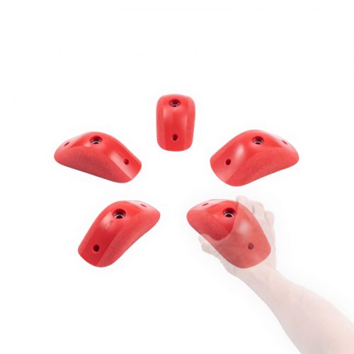 Cintia_L2_Groessenvergleich