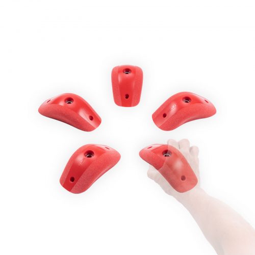 Cintia_L3_Groessenvergleich